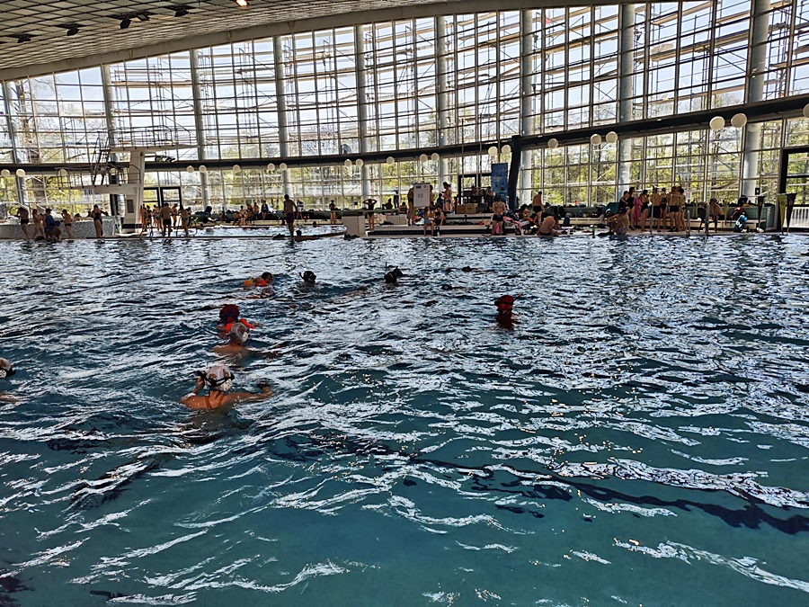 Hokej pod wodą Walenie Czeskie Budziejowice Bud Pig Cup 2026